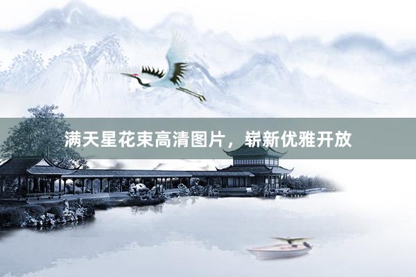 满天星花束高清图片，崭新优雅开放