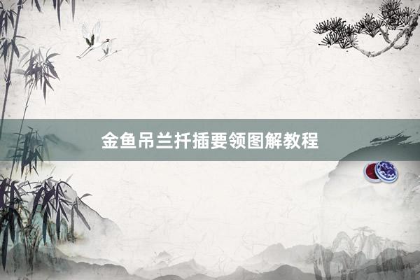 金鱼吊兰扦插要领图解教程